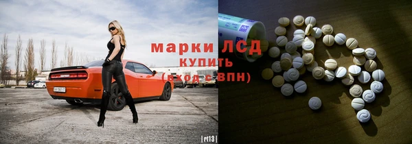сатива Балахна