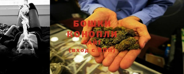 сатива Балахна